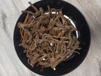 Корінь кульбаби - одуванчика