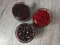 Шовковиця  в меду