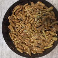 Березові бруньки стиглі