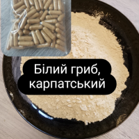 Білий гриб сушений