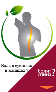 настойка живокоста